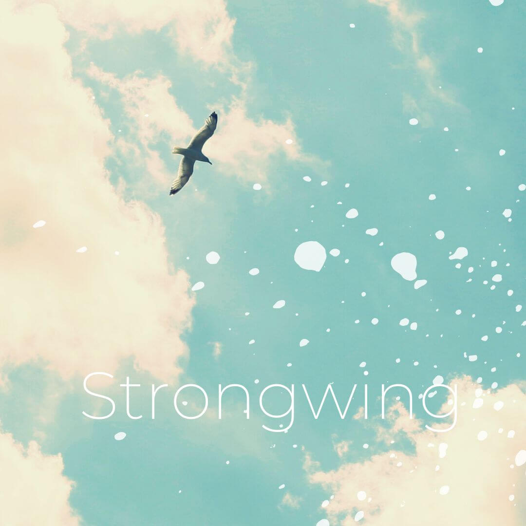 tap here to shop the Strongwing Collection