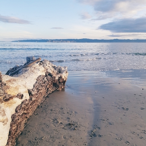 Kaiti Beach in Gisborne, New Zealand