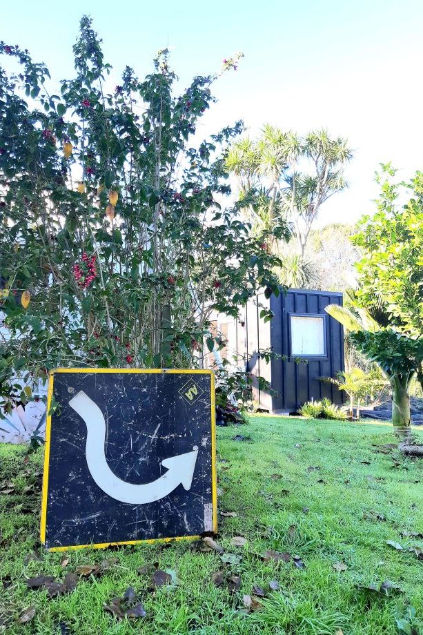 Jewellery to Buy in Gisborne Bird of Prey Jewellery